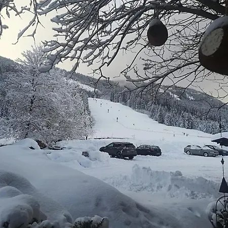Walchauhof Farma Flachau