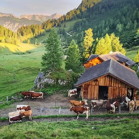 Walchauhof Κατάλυμα σε φάρμα *