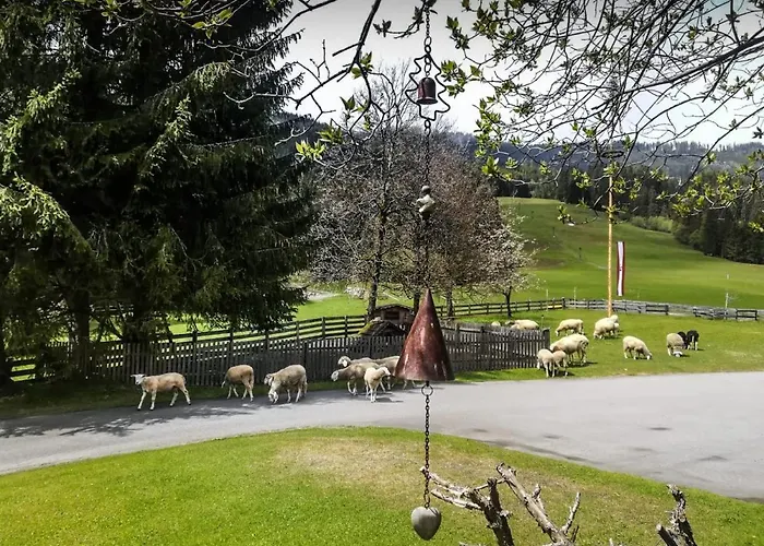 Walchauhof Lantgård Flachau